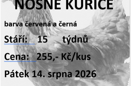 Prodej kuřic 14. 8. 2026